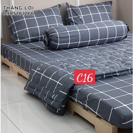 Vỏ gối cotton Thắng Lợi chính hãng ( gối nằm - gối ôm ) [ảnh thất 2]