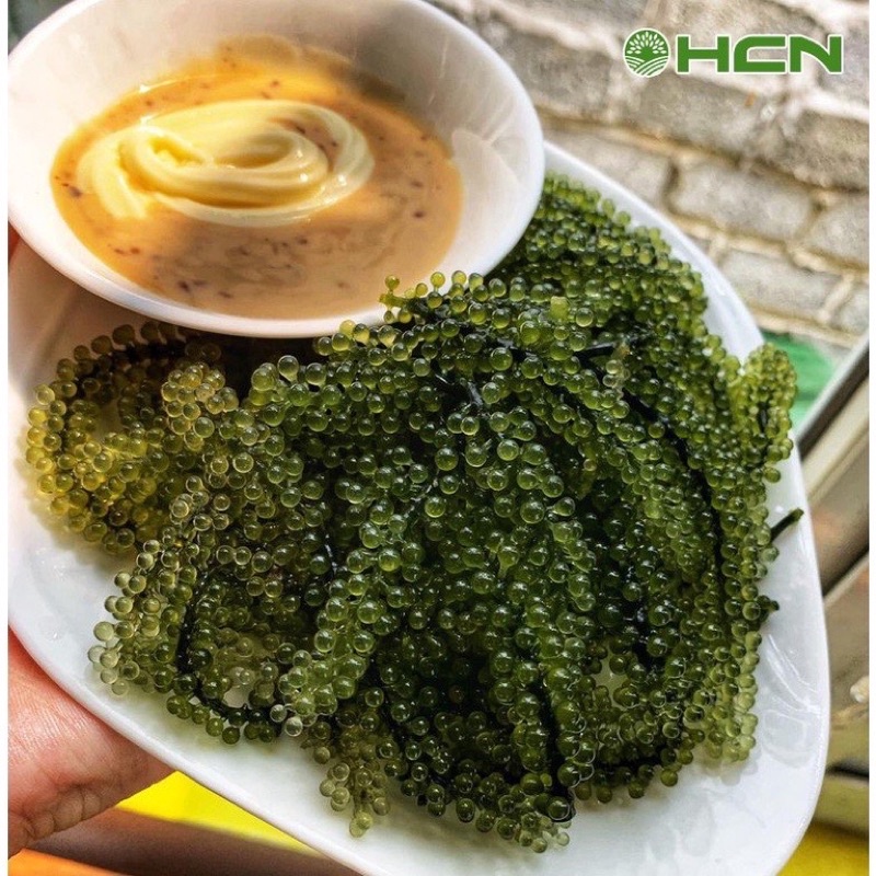 Rong Nho Tách Nước nước OGENK Công Nghệ Tách Nước Tiêu Chuẩn Nhật Bản 180g | BigBuy360 - bigbuy360.vn