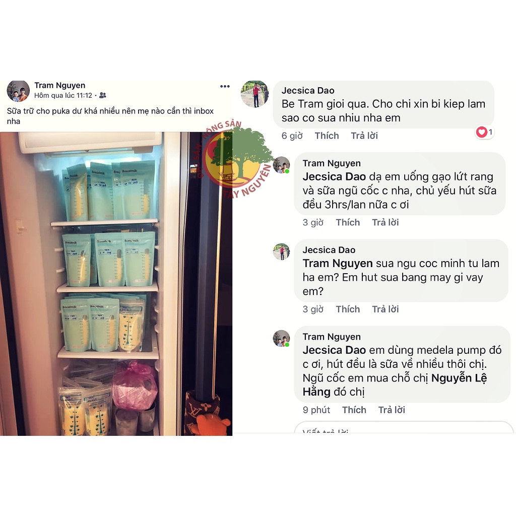 Bột Ngũ Cốc Dinh Dưỡng Lợi Sữa 20 Thành Phần Hạt Hằng Thuận Tây Nguyên