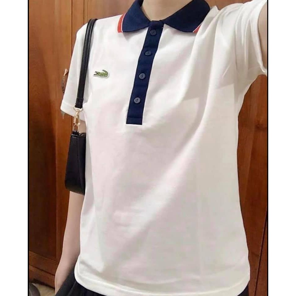 ÁO POLO CÁ S.ẤU SIÊU HOT | BigBuy360 - bigbuy360.vn