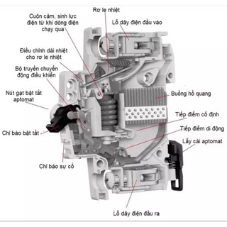 Cầu Dao Đôi SINO 40A-63A Bảo Vệ Quá Tải