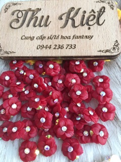 Hoa làm nail