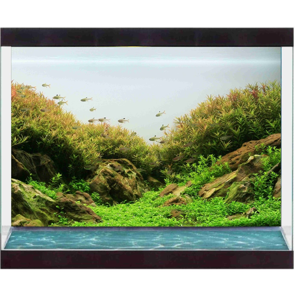 Decal Có Sẵn Keo - Hồ Thủy Sinh Phong Cảnh Suối Thác - Decal Sài Gòn