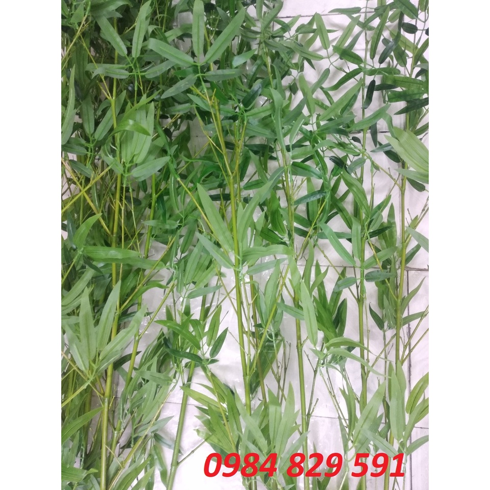 Cây Trúc giả-Cây Trúc Quân Tử 1.5M-2M trang trí nhà cửa,hàng rào (giá 1 cây)