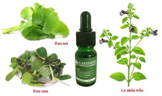 [Chính Hãng] Combo Toner + Sữa Rửa Mặt CARYOPHY