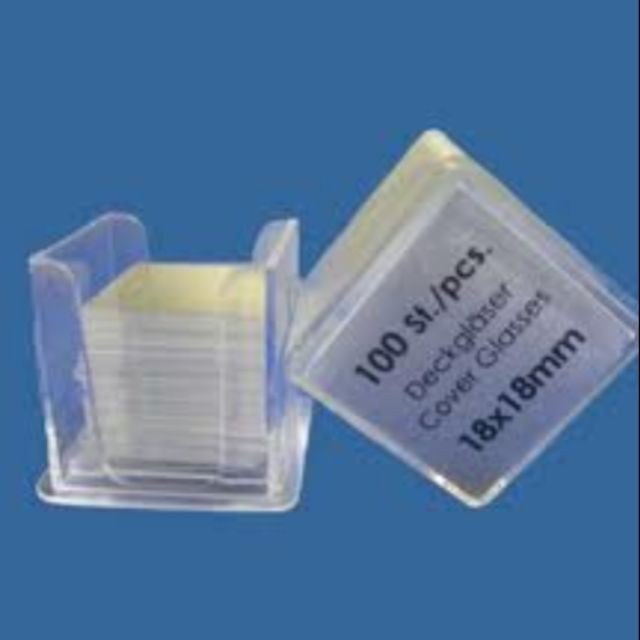 Lamen 20x20mm soi trên kính hiển vi