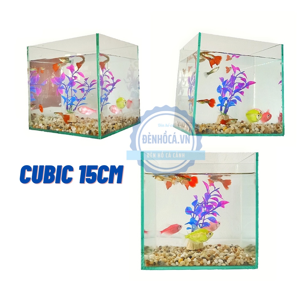 Bể cá mini cubic 15 - 20 - 25 cm dành cho nuôi cá cảnh hoặc thủy sinh