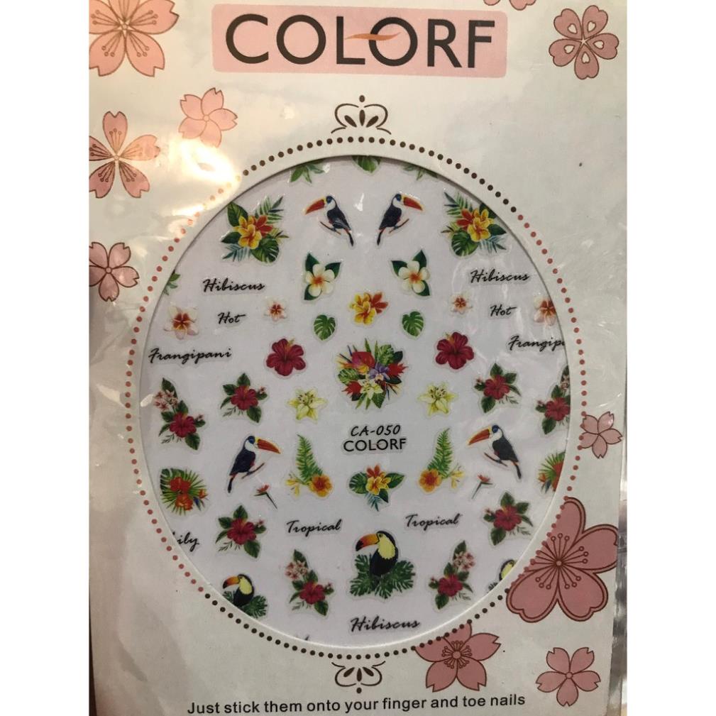 Hình dán móng tay Gõ Kiến CA050