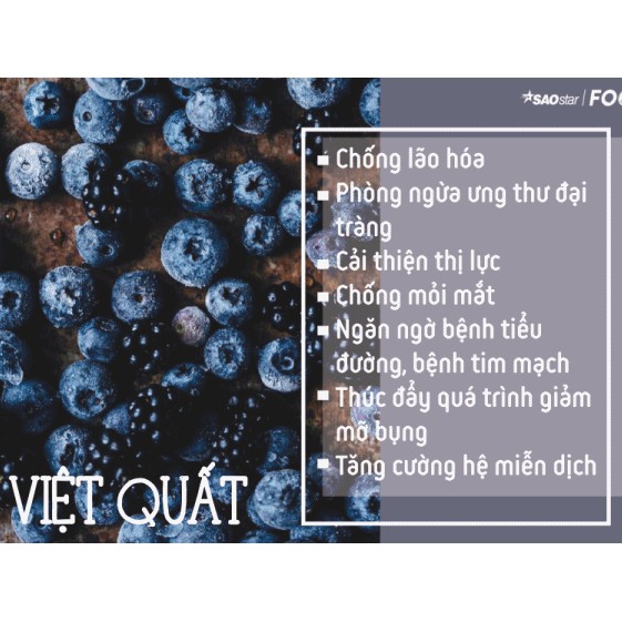 Việt Quất [FREESHIP] Quả Việt Quất Sấy Khô Canada (120g) | BigBuy360 - bigbuy360.vn