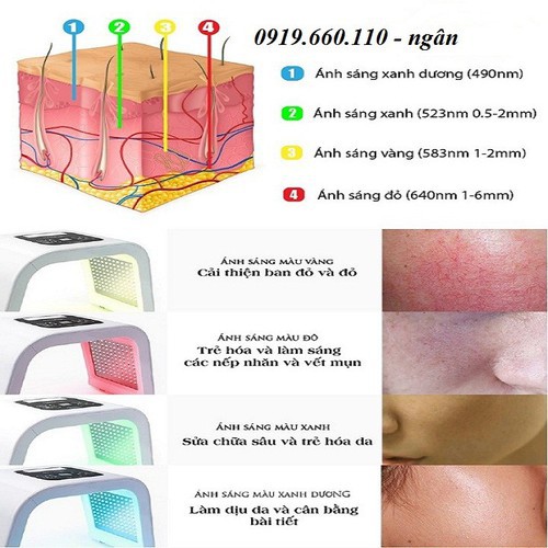 Vòm Ánh Sáng Sinh Học Omega Light 7 Màu Hàn Quốc Hàng Chuẩn Loại 1 | BigBuy360 - bigbuy360.vn