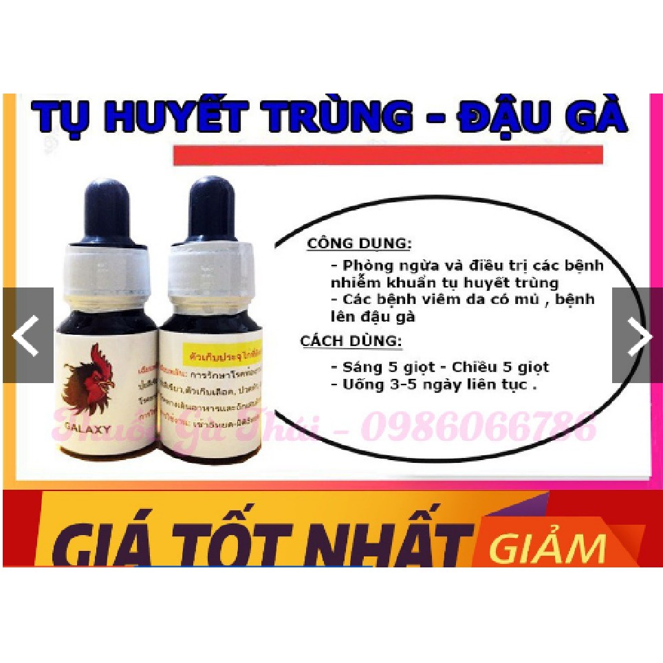 đặc trị đậu cho gà chọi gà đá