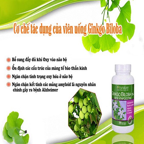 Viên Uống Bổ Não Ginkgo Biloba 340 Viên Của Mỹ( có bill Costco Mỹ)