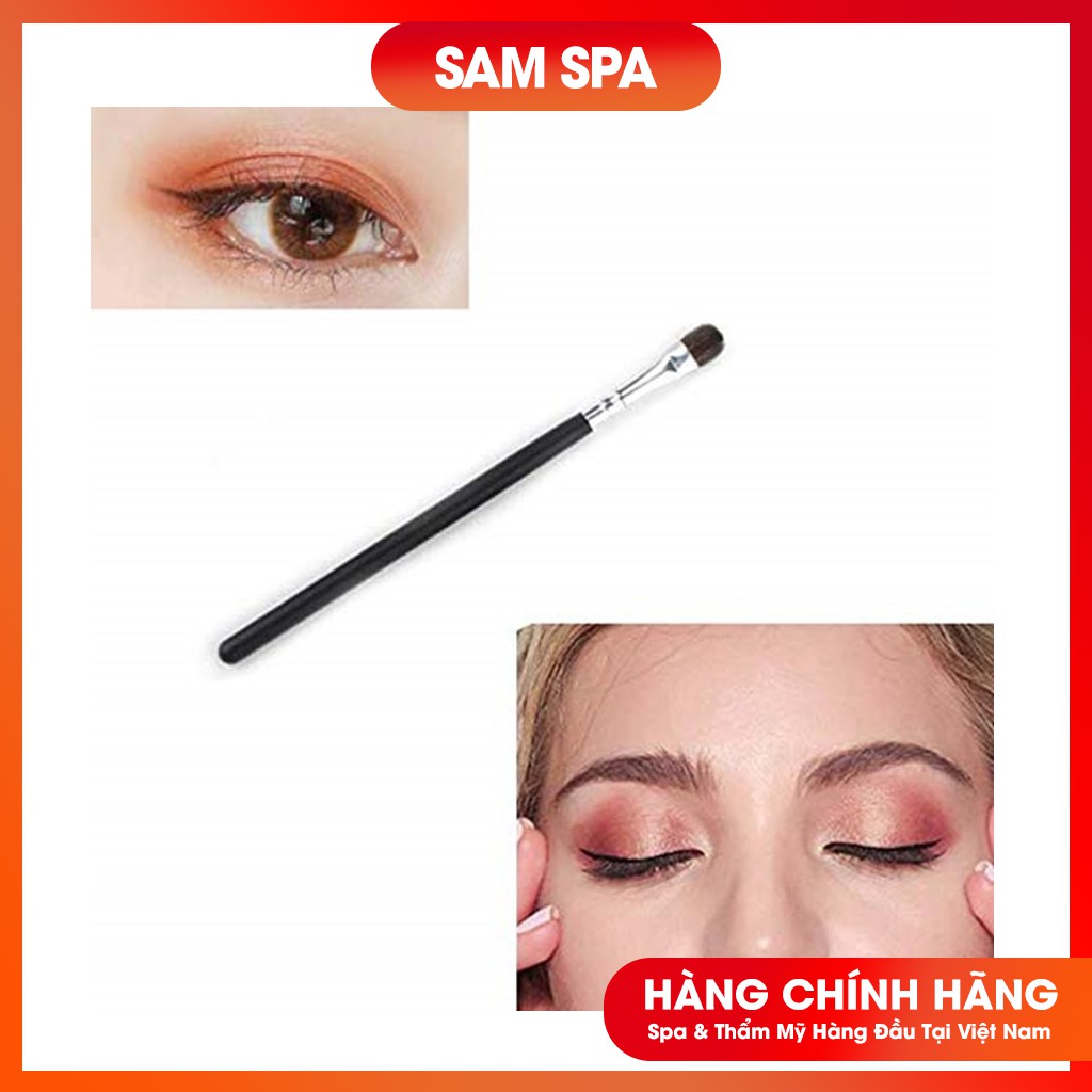 Cọ Trang Điểm Mắt EYELINER Chuyên Nghiệp Lông Mày, Lông Mi
