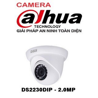 Camera Dahua DS2230DIP