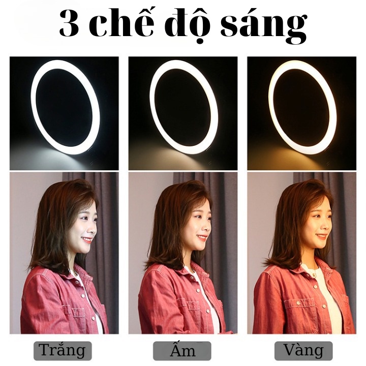 Đèn Livestream D33cm Quay ticktok , livestream, Phun Xăm, livestream bán hàng