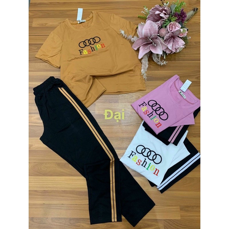 Đồ bộ thun cotton size Đại