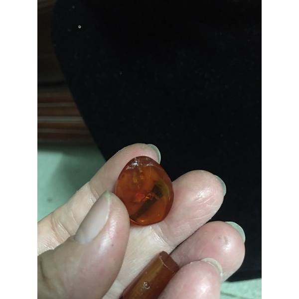 Ba viên hổ phách si tuyển Nhật