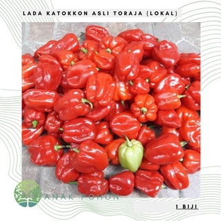 Hạt giống - hạt ớt katokkon 15h