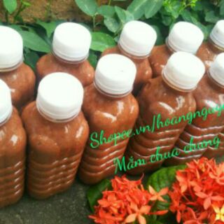 Sỉ 10chai Đặc sản mắm tôm- mắm chua Ba làng