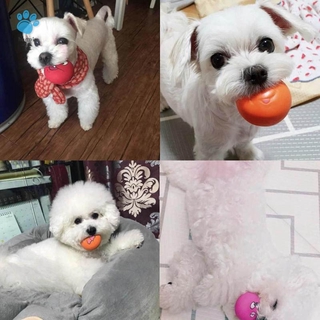 Bóng Cao Su Đồ Chơi Cho Thú Cưng