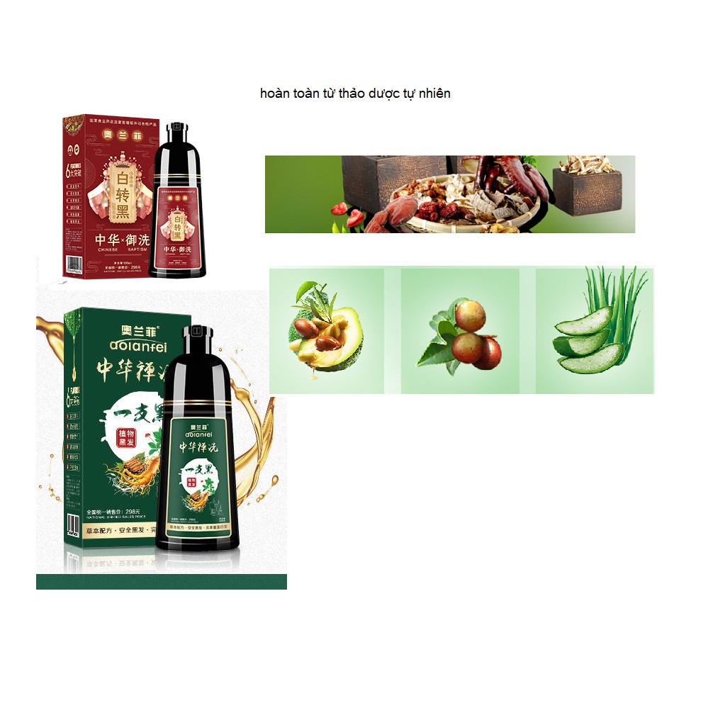 Dầu gội đầu thảo dược đen tóc phủ bạc -Không Cần Nhuộm Thần Thánh | BigBuy360 - bigbuy360.vn