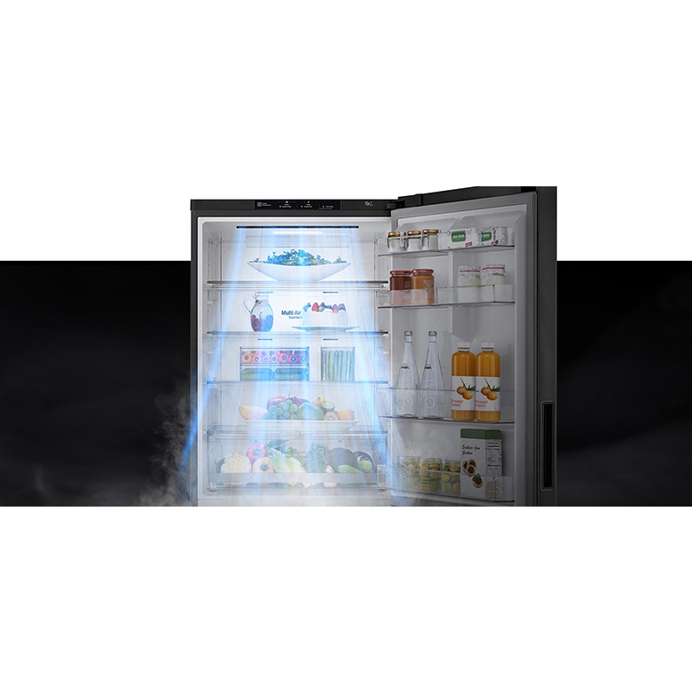 Tủ lạnh LG GR-D405PS 454 lít Inverter
