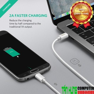 Cable USB-C Ugreen 40419