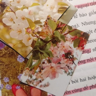 Set 3 tấm nhãn dán trong 'The island's flower shop' sticker