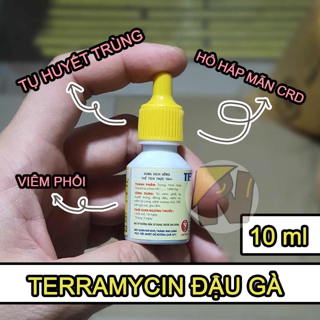 Đậu gà - terramycin D 10ml