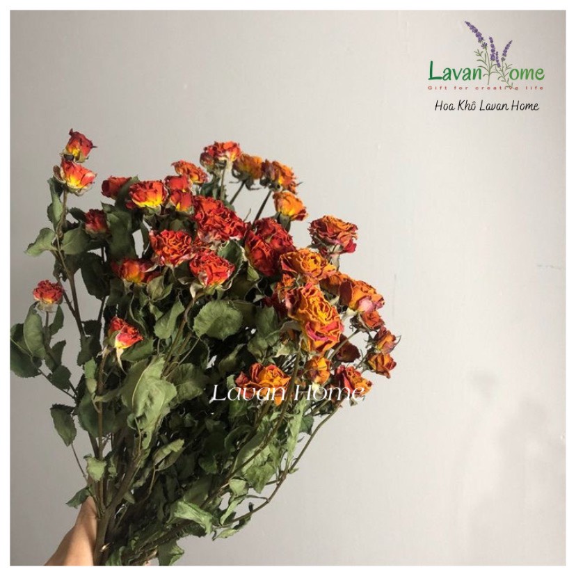 Hoa hồng sấy khô vintage-Rosie Dried Flowers trang trí phòng, tiệc retro, trang trí thiệp, nến thơm -hoa hồng size 1-3cm