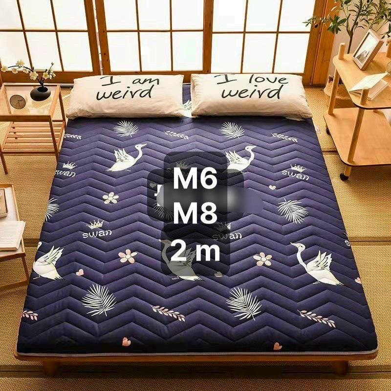 Tấm lót đệm, Tấm trải đệm 5D(TẶNG 1 THẢM CHÙI CHÂN 40 X 60 CM TRỊ GIÁ 80K)