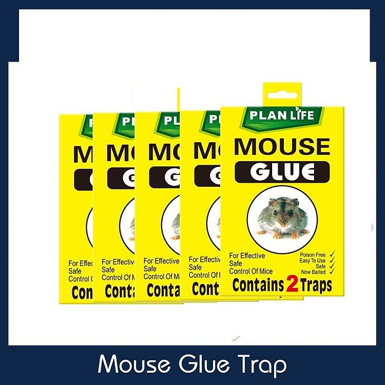 Miếng dán bẫy chuột dán côn trùng gói 2 miếng