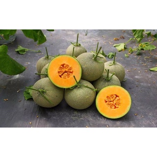 Dưa lưới (1,1-2kg/quả)