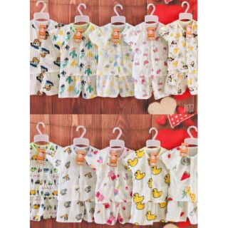Cotton giấy 1200k/50 bộ