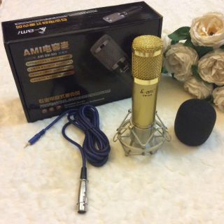 Micro thu âm AMI BM-900