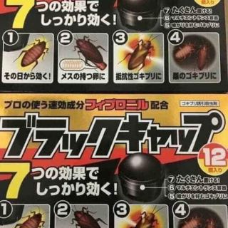 Hộp 12 viên diệt gián Nhật Bản