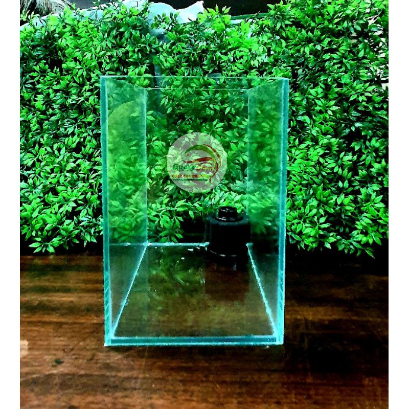 Giao hỏa tốc HCM - Hồ kính mini - Keo show betta guppy kích thước 10x15x15cm