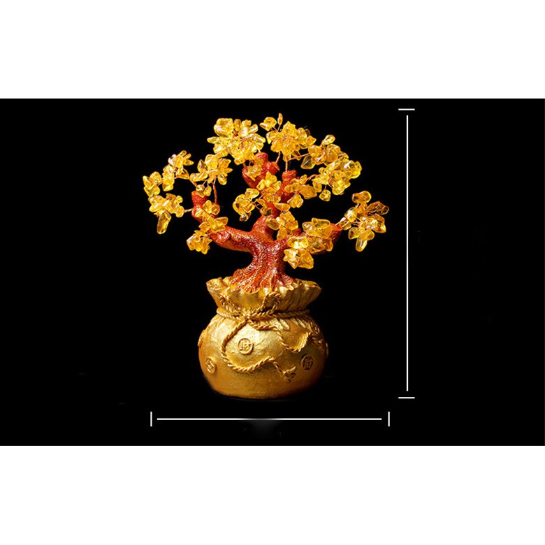 Cây Tài Lộc  18.5cm