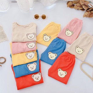 Bộ Quần Áo Dài Tay Thu Đông Vải Tăm Gân Siêu Mềm In Hình Gấu Cho Bé Từ 8-18kg Mã DT04
