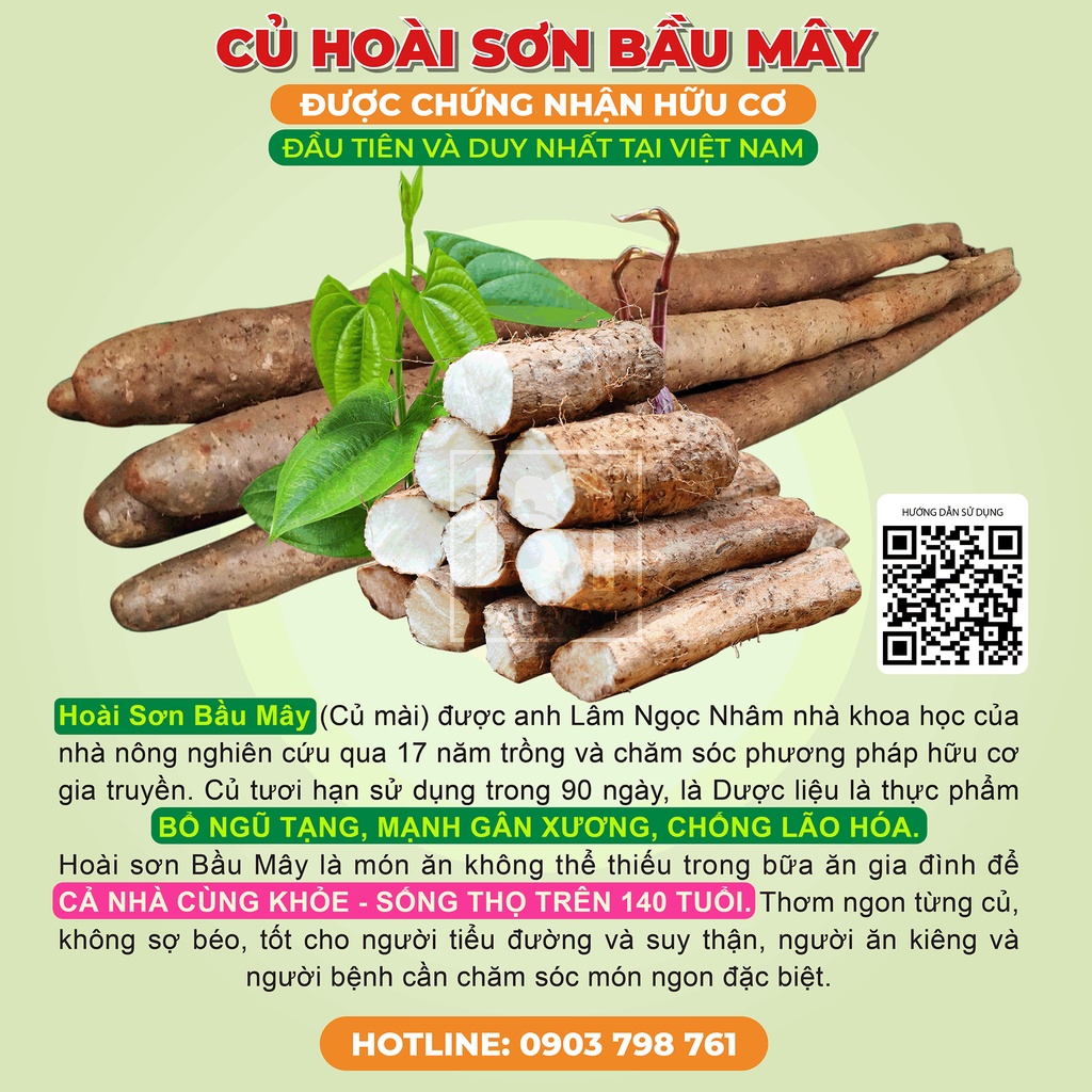 Củ Hoài sơn tươi Hữu CơBầu Mây 1kg