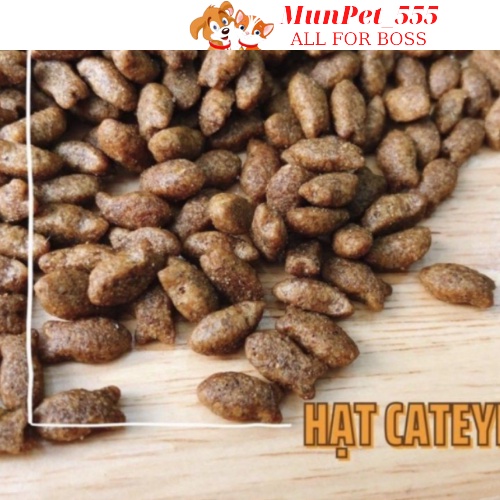 Hạt cateye Thức ăn cho mèo phù hợp mọi lừa tuổi , chính hãng hàn quốc túi nhỏ 1kg