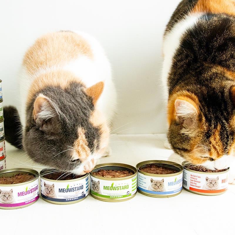 [HÀ NỘI] Hộp Pate MEOWSTARD Siêu Ngon 80gr