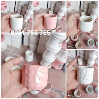 Chậu gốm sứ bát tràng trồng sen đá, xương rồng