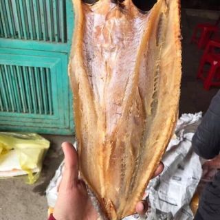 Combo 2kg Cá mối to ngon