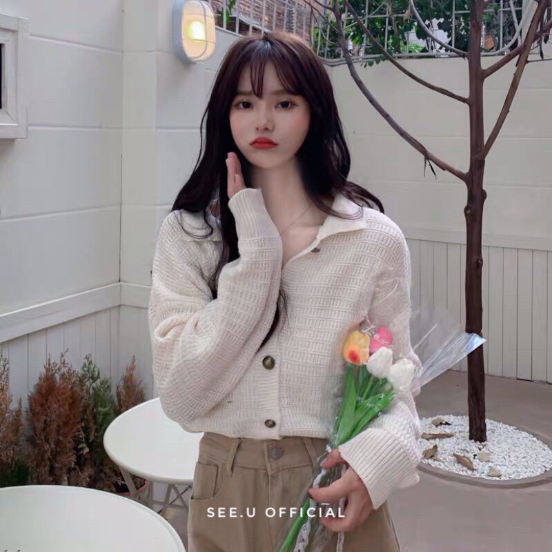 Áo Len Dệt Kim Retro Cổ Điển Phong Cách - See.U Official | BigBuy360 - bigbuy360.vn
