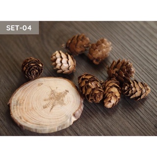 Set đồ khô trang trí chụp ảnh - Cam7Studio.com
