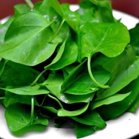 Lá Giang Sấy Khô Nấu Canh Gà Xào Thịt Trâu Chua Thanh Ngon Miệng Nguyên Liệu Nấu Ăn 1 Lần Không Chất Bảo Quản 15gr