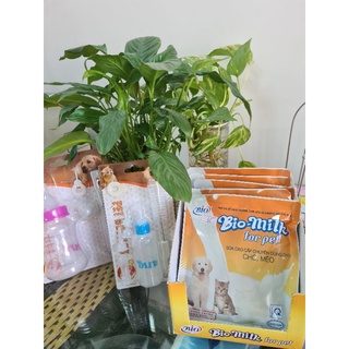 Sữa Biomilk cho chó mèo