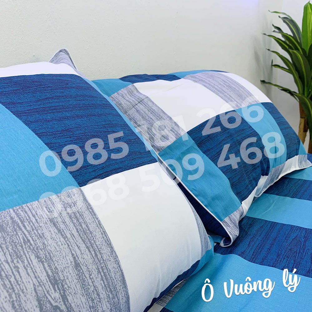 [Ảnh Thật] Ô Vuông Lý - Bộ Drap Cotton 4 món Thắng Lợi Chính Hãng