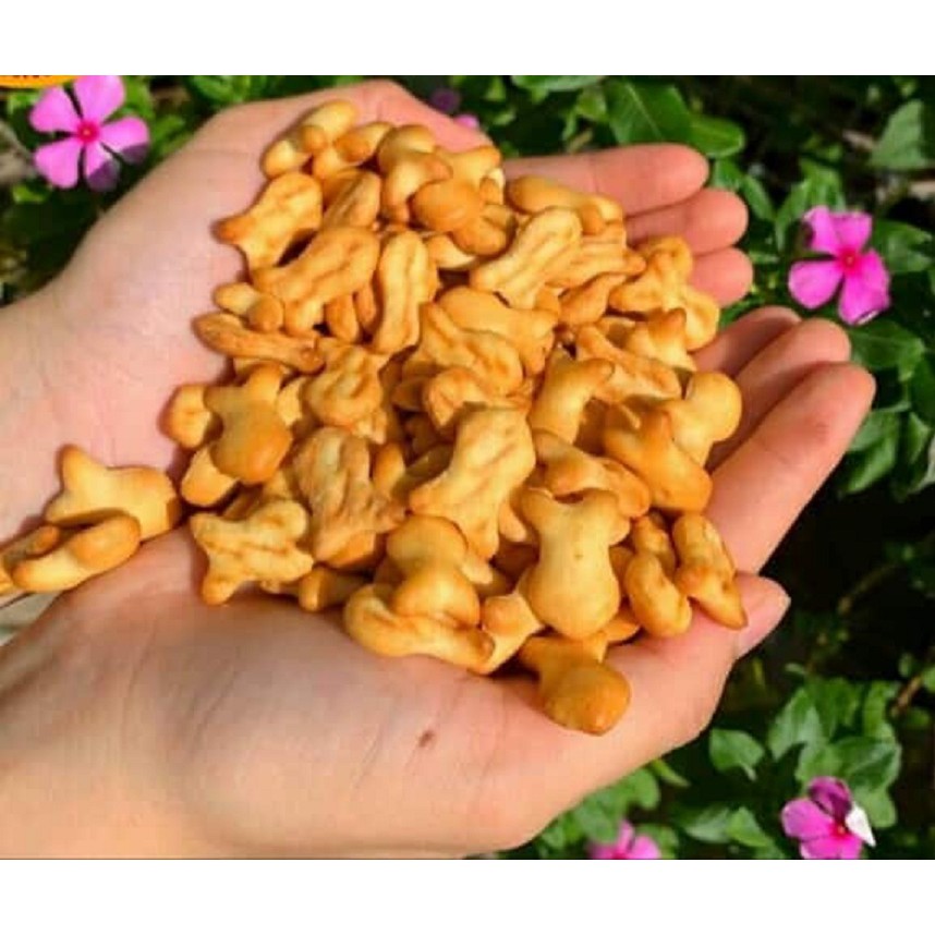 bánh quy hình con cá - giá sỉ 250g / 500g / 1 kg | BigBuy360 - bigbuy360.vn